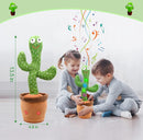 Dancing Cactus®️ HOY 30%OFF + Envio GRATIS